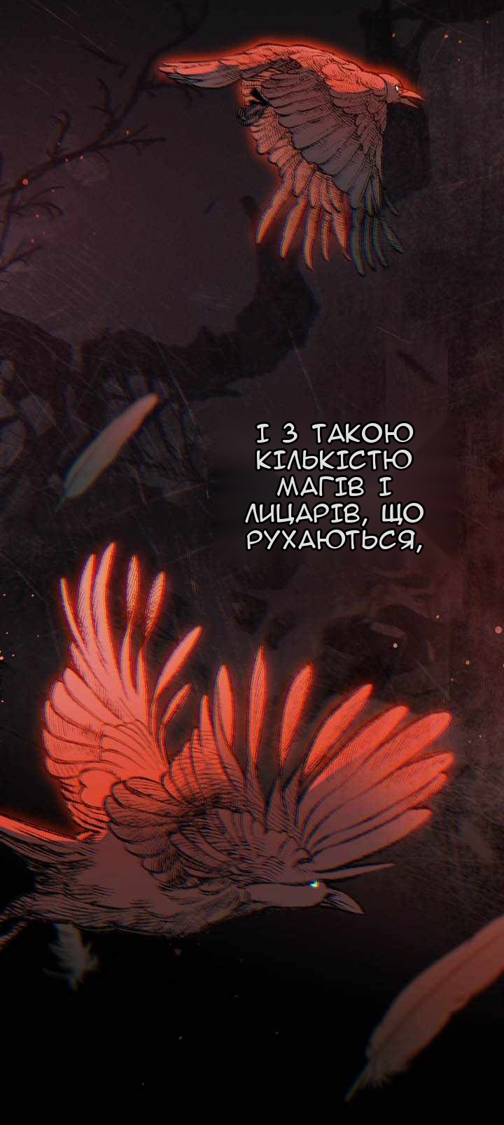 Сторінка 11