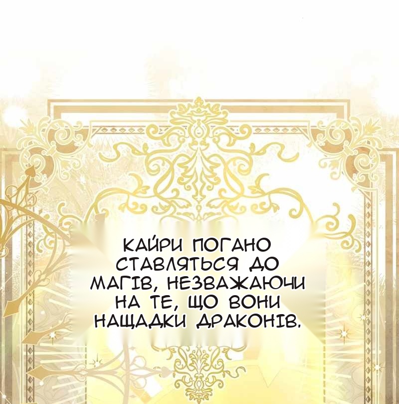 Сторінка 17