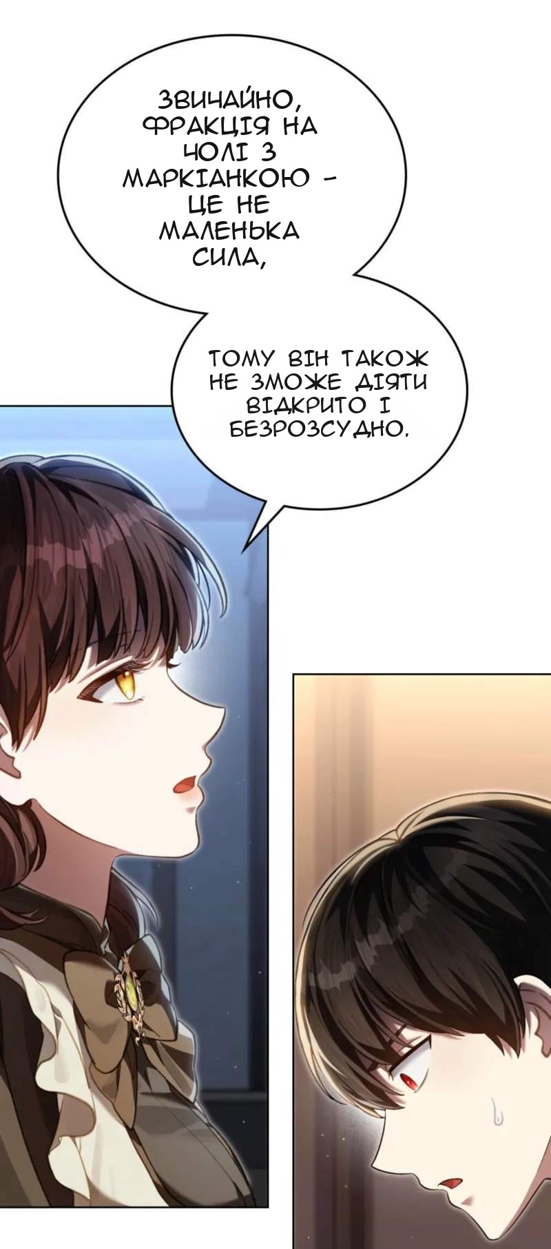 Сторінка 17
