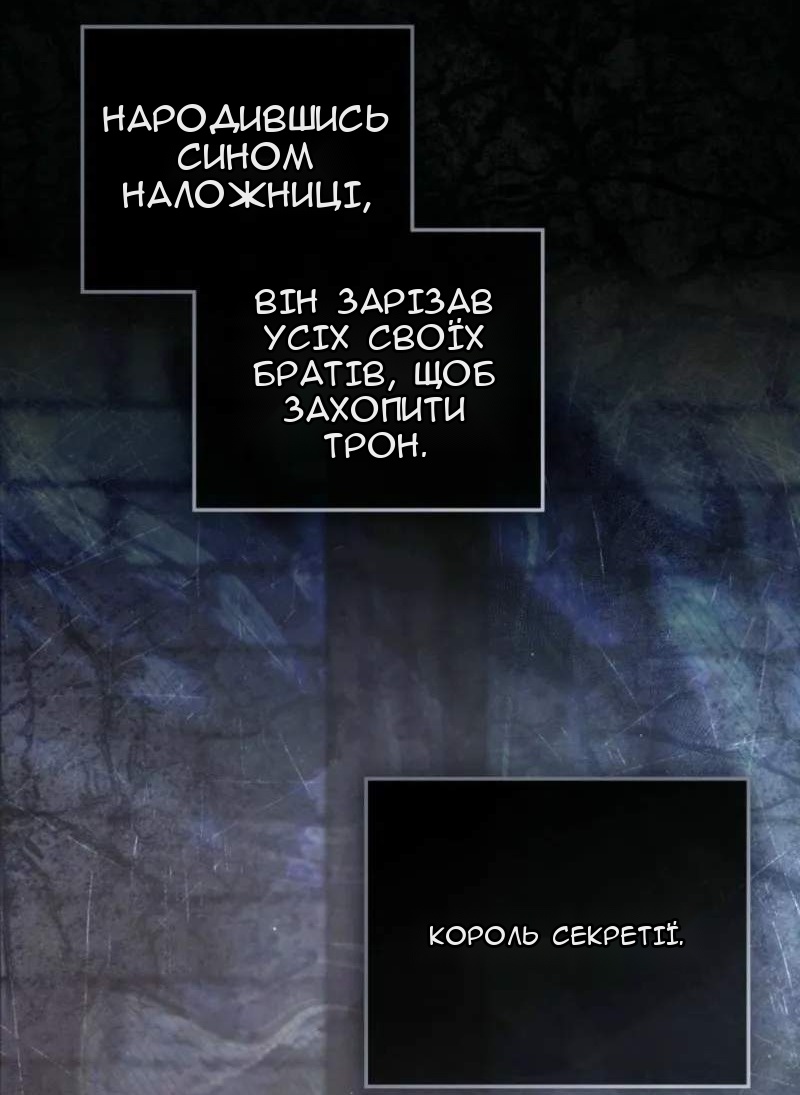 Сторінка 11