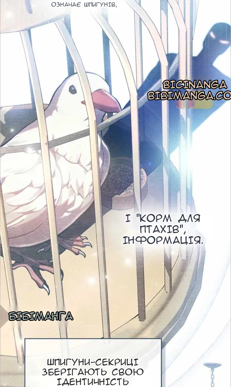 Сторінка 8