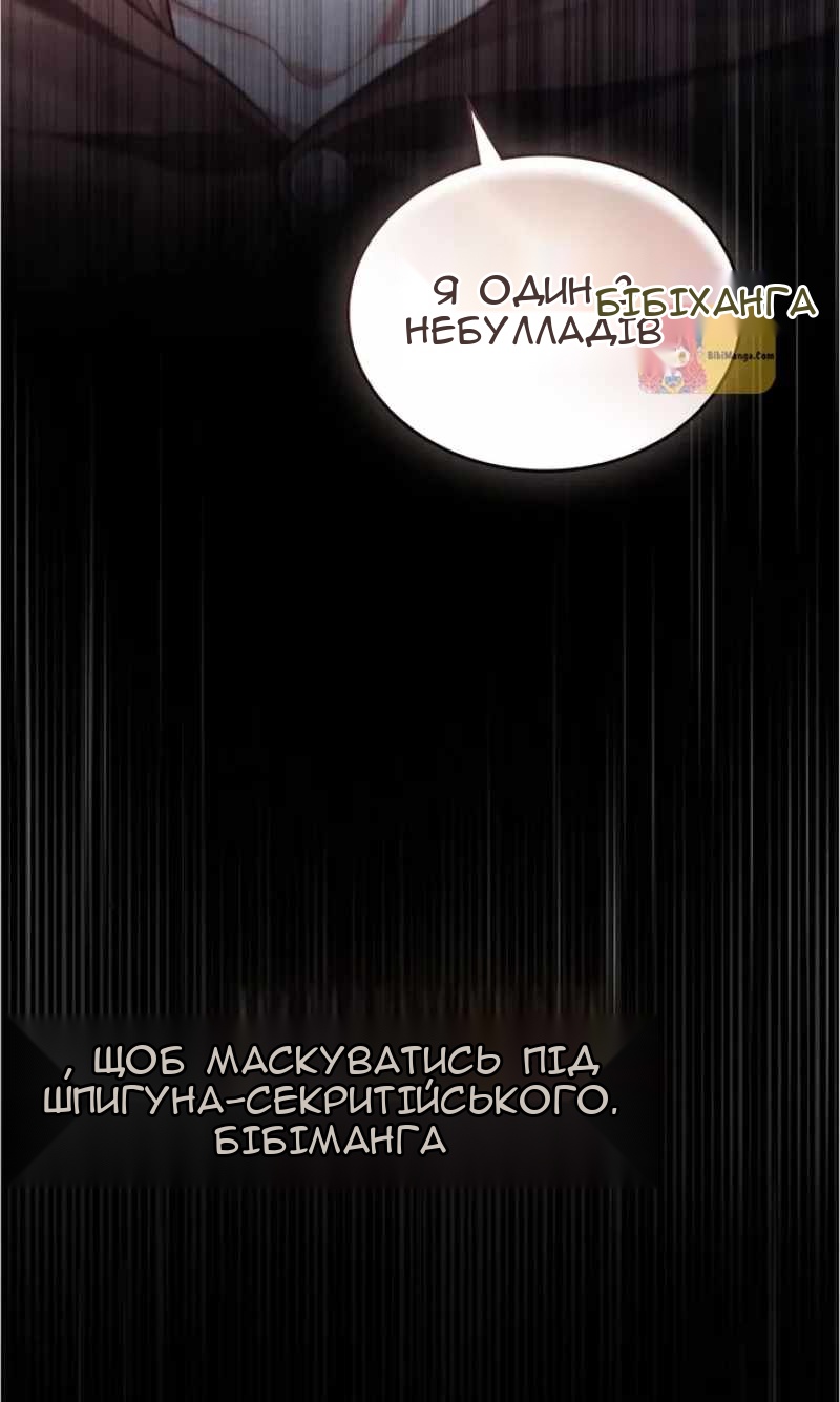 Сторінка 17