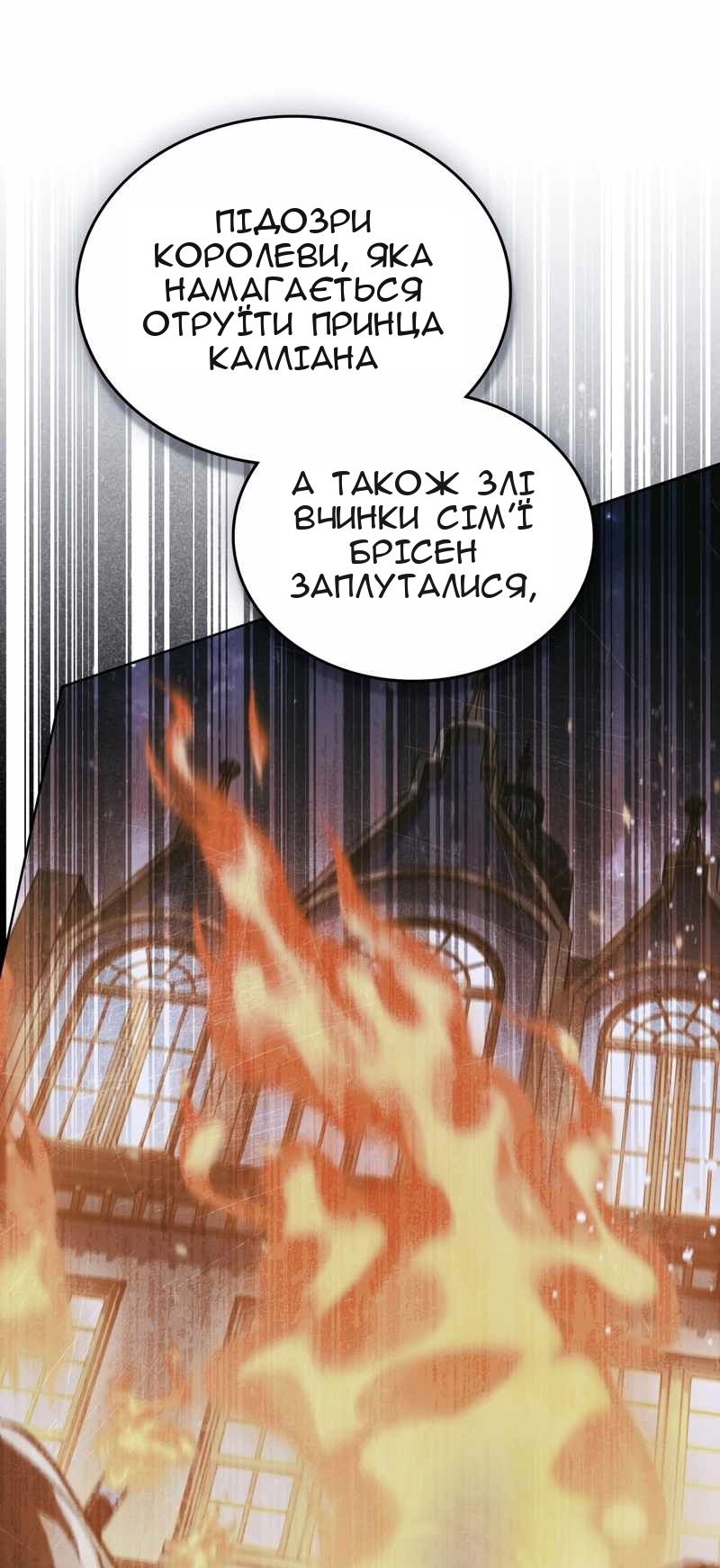 Сторінка 29