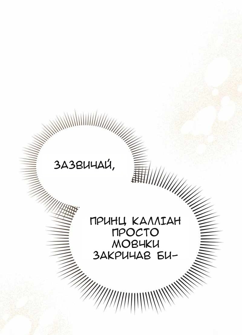 Сторінка 29