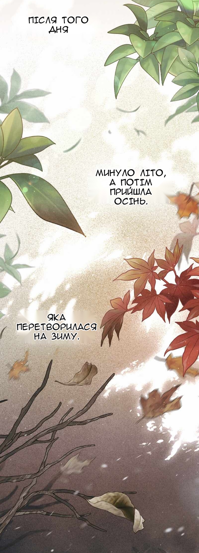 Сторінка 31