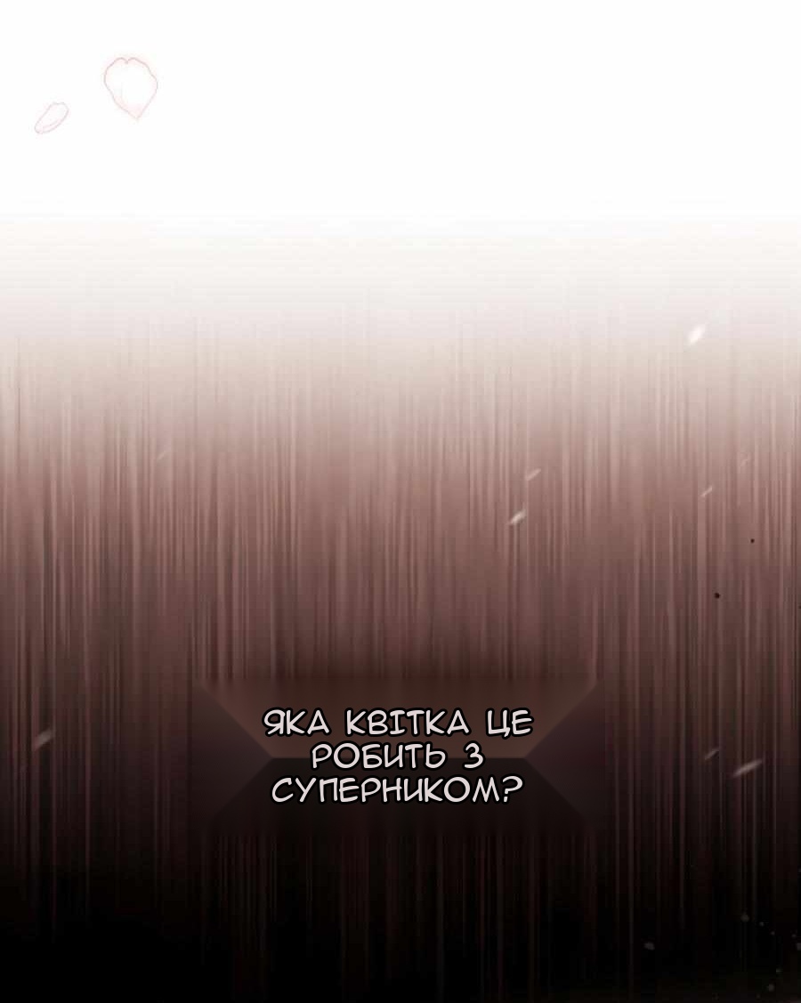 Сторінка 29