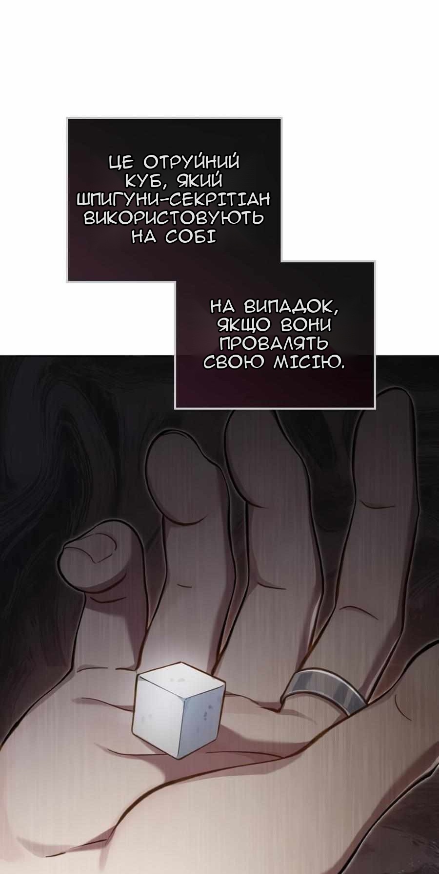 Сторінка 31