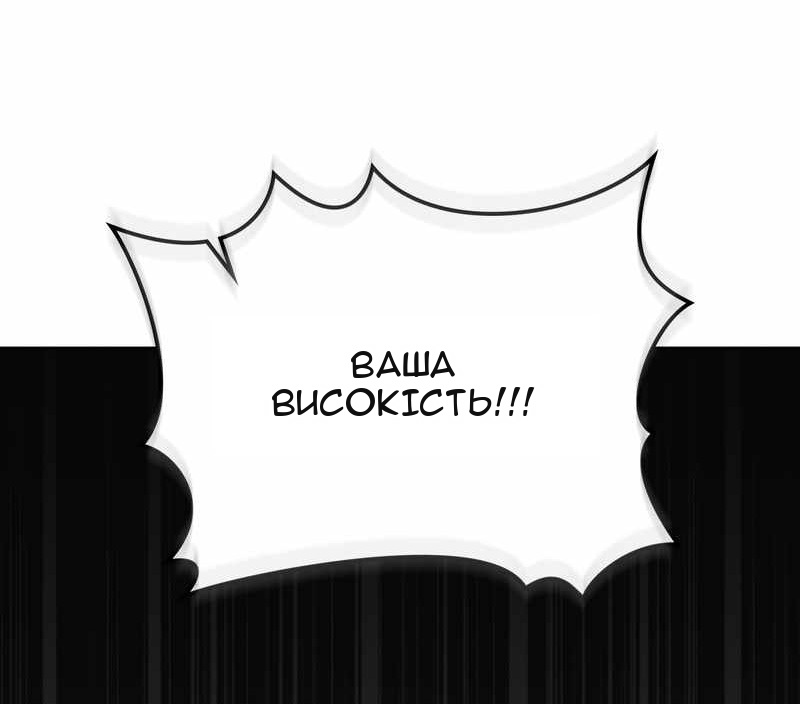 Сторінка 17