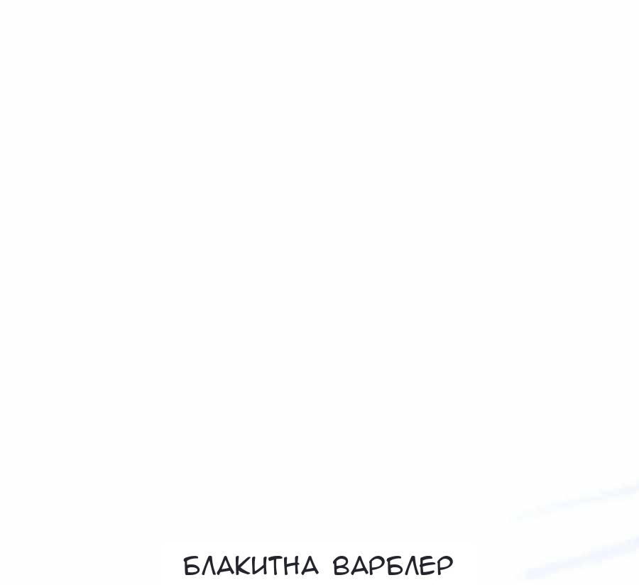 Сторінка 49