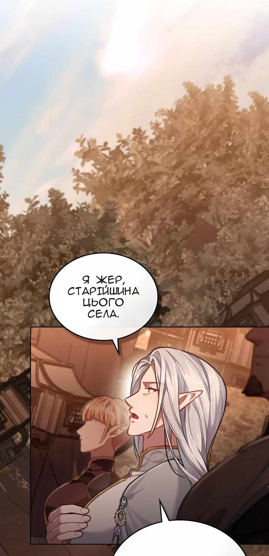 Сторінка 17