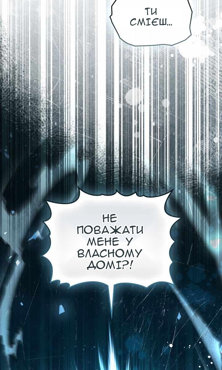Сторінка 17
