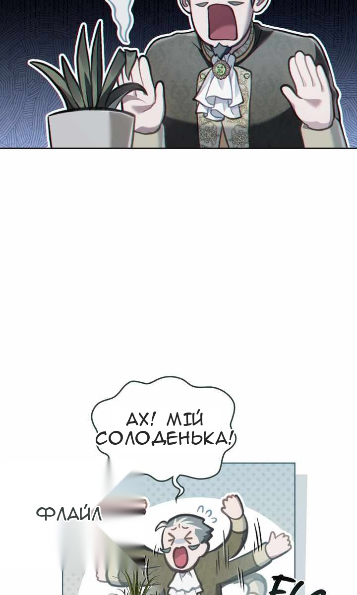 Сторінка 61