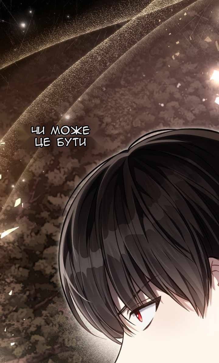 Сторінка 28