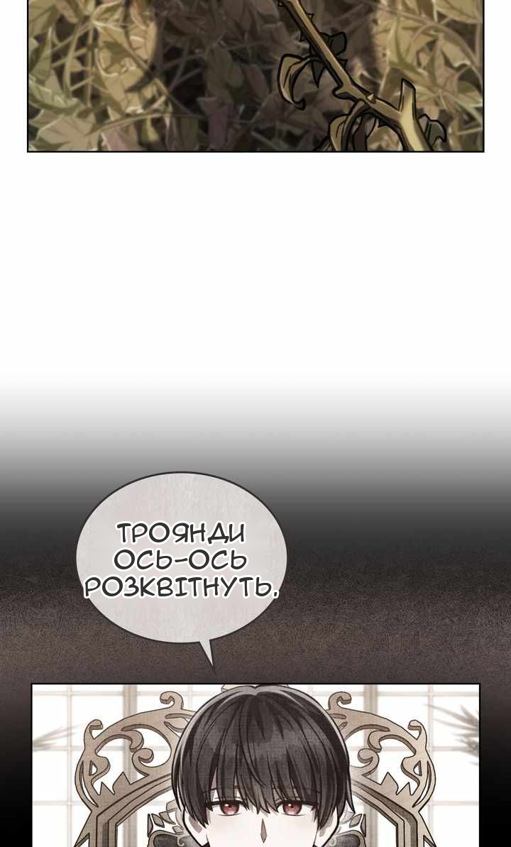 Сторінка 36