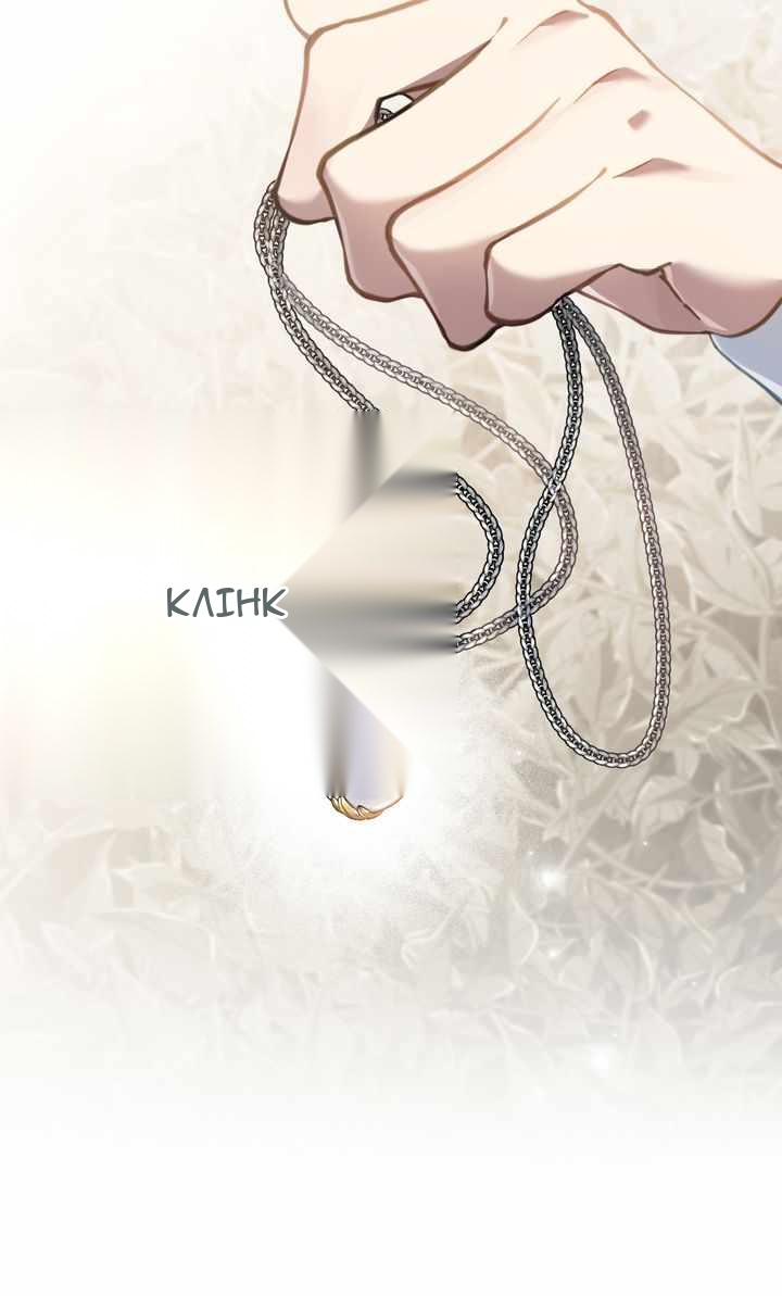 Сторінка 41