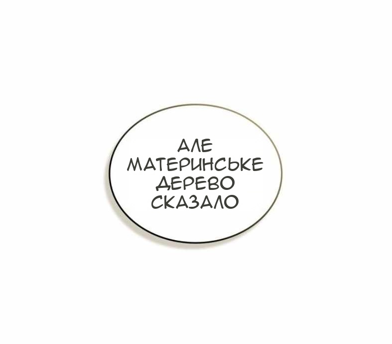 Сторінка 13