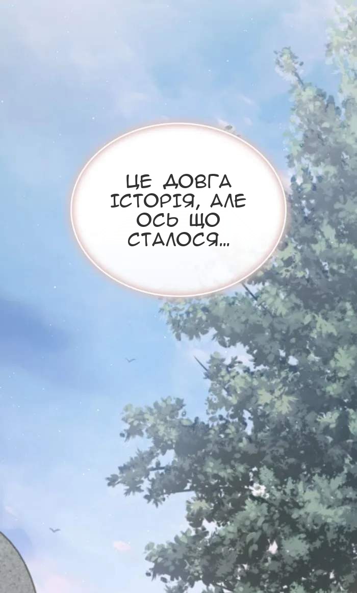 Сторінка 11