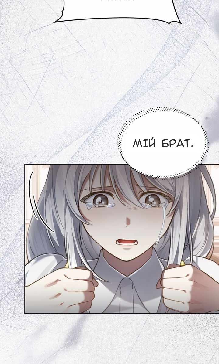 Сторінка 28