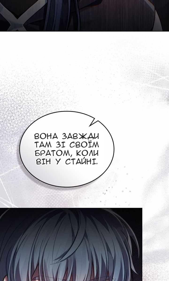 Сторінка 29