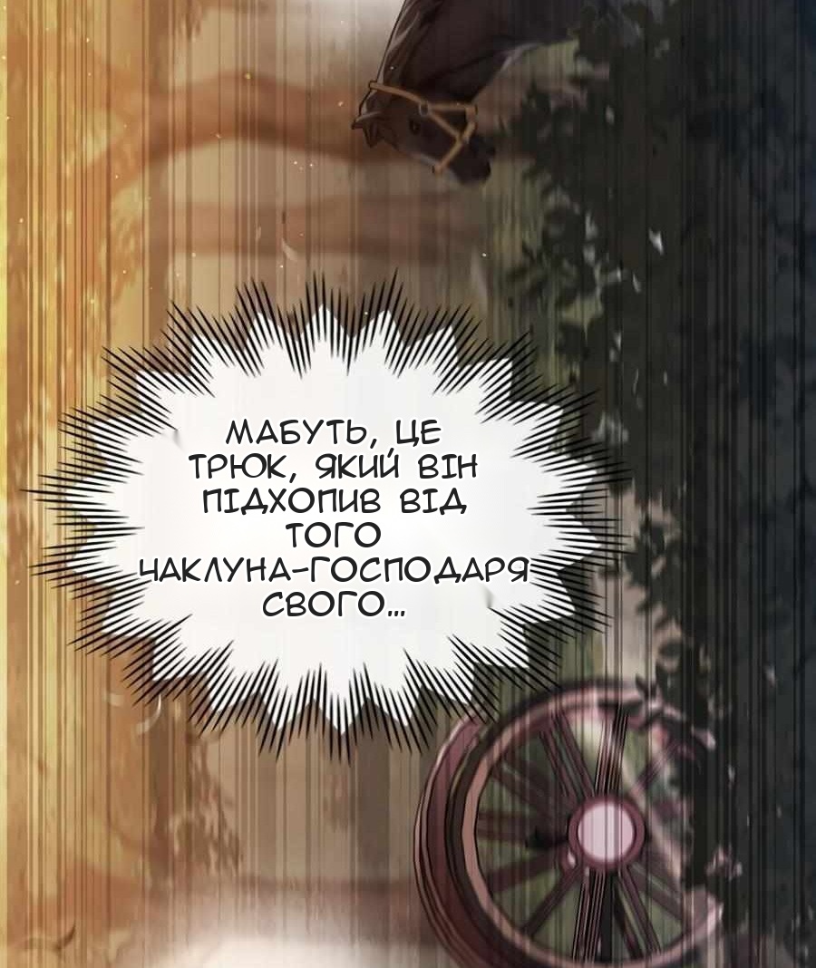 Сторінка 5