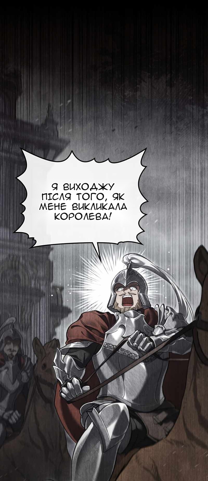 Сторінка 11