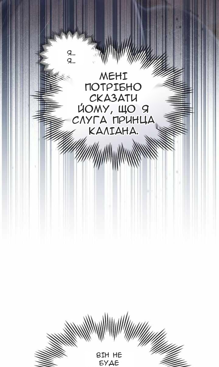Сторінка 5