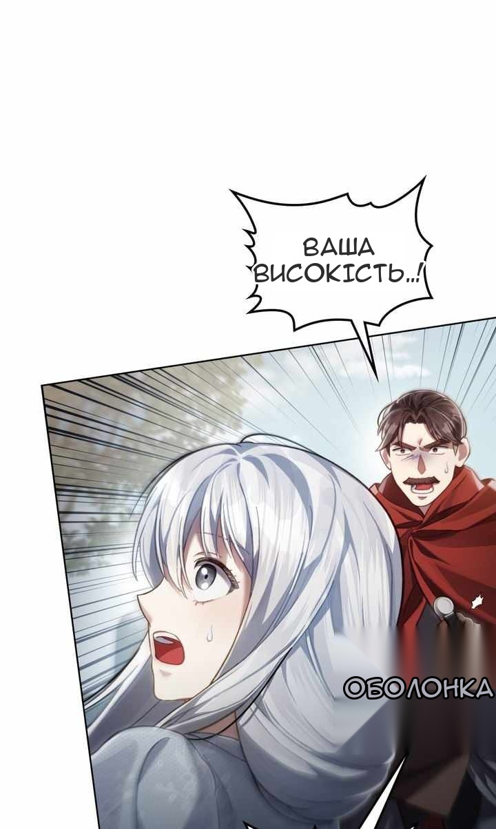 Сторінка 17