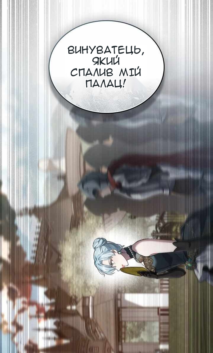 Сторінка 17