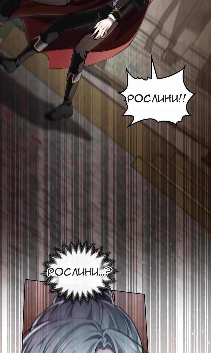 Сторінка 7