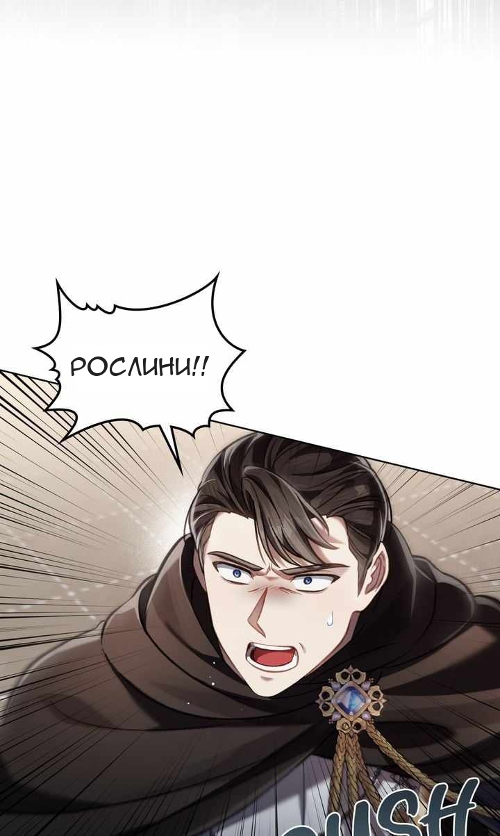 Сторінка 40