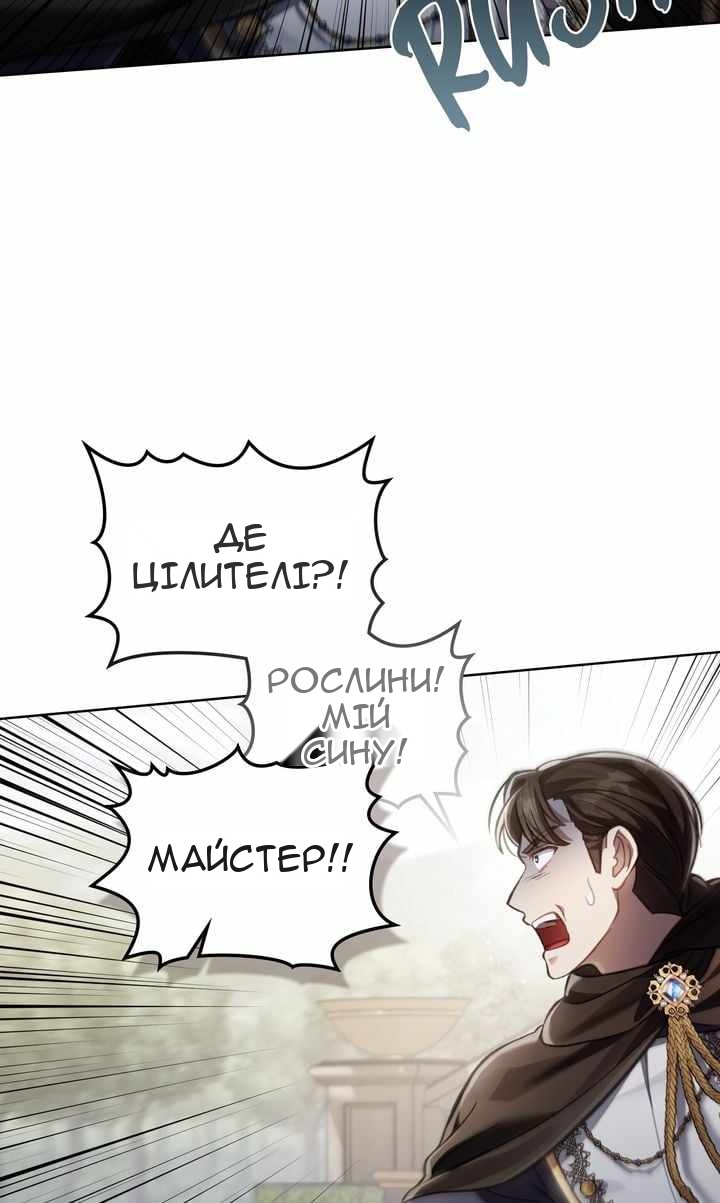 Сторінка 41