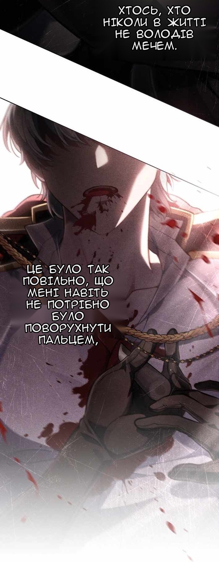 Сторінка 17