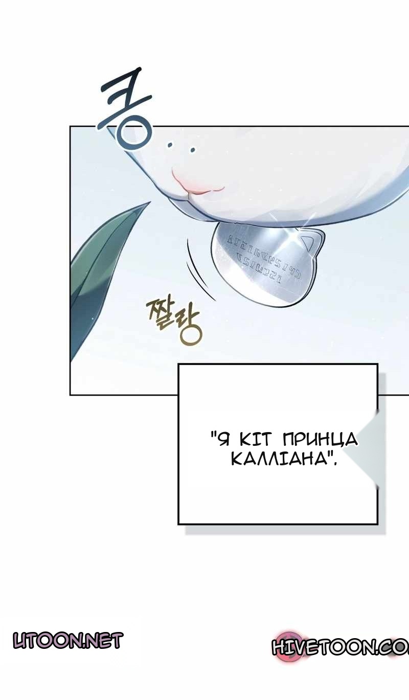 Сторінка 49