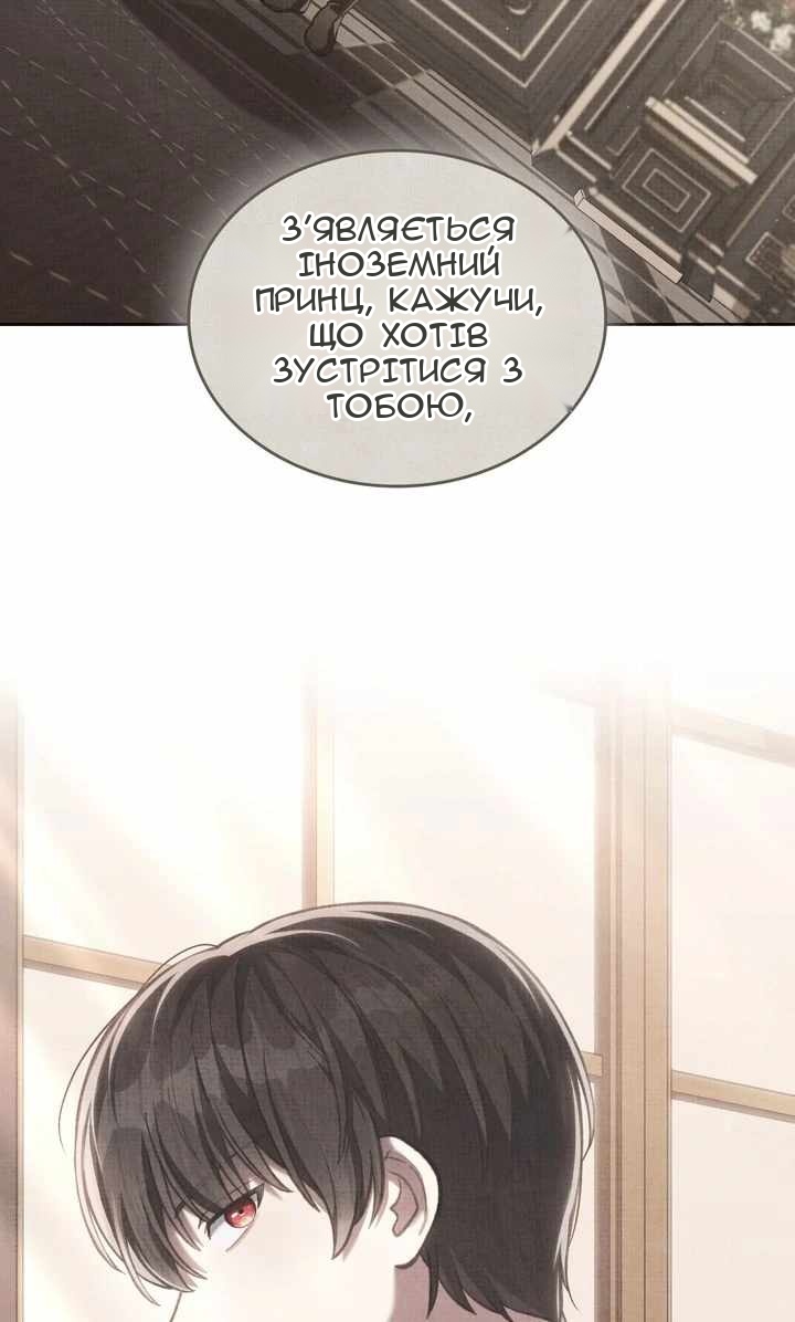 Сторінка 51
