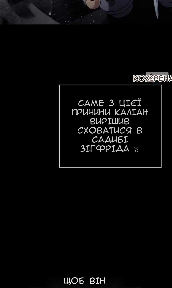 Сторінка 17
