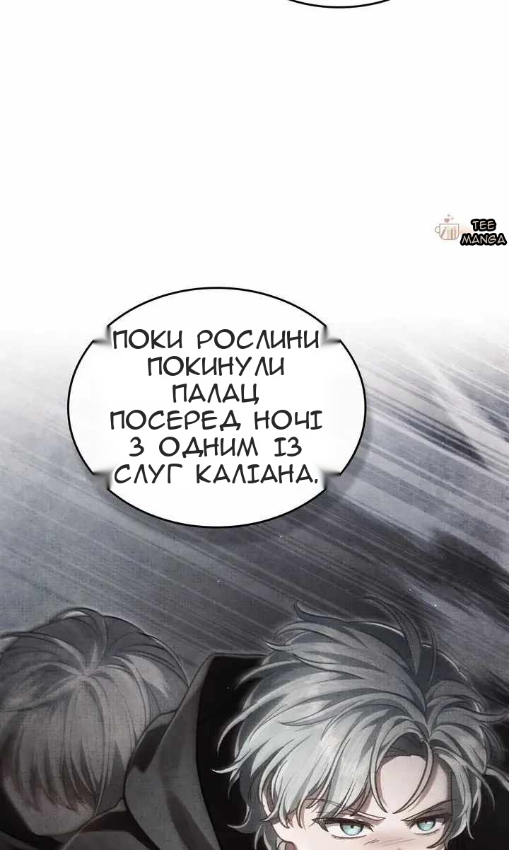 Сторінка 37