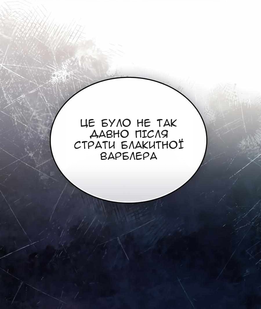 Сторінка 45