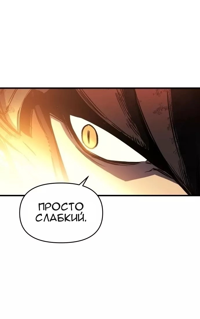 Сторінка 23