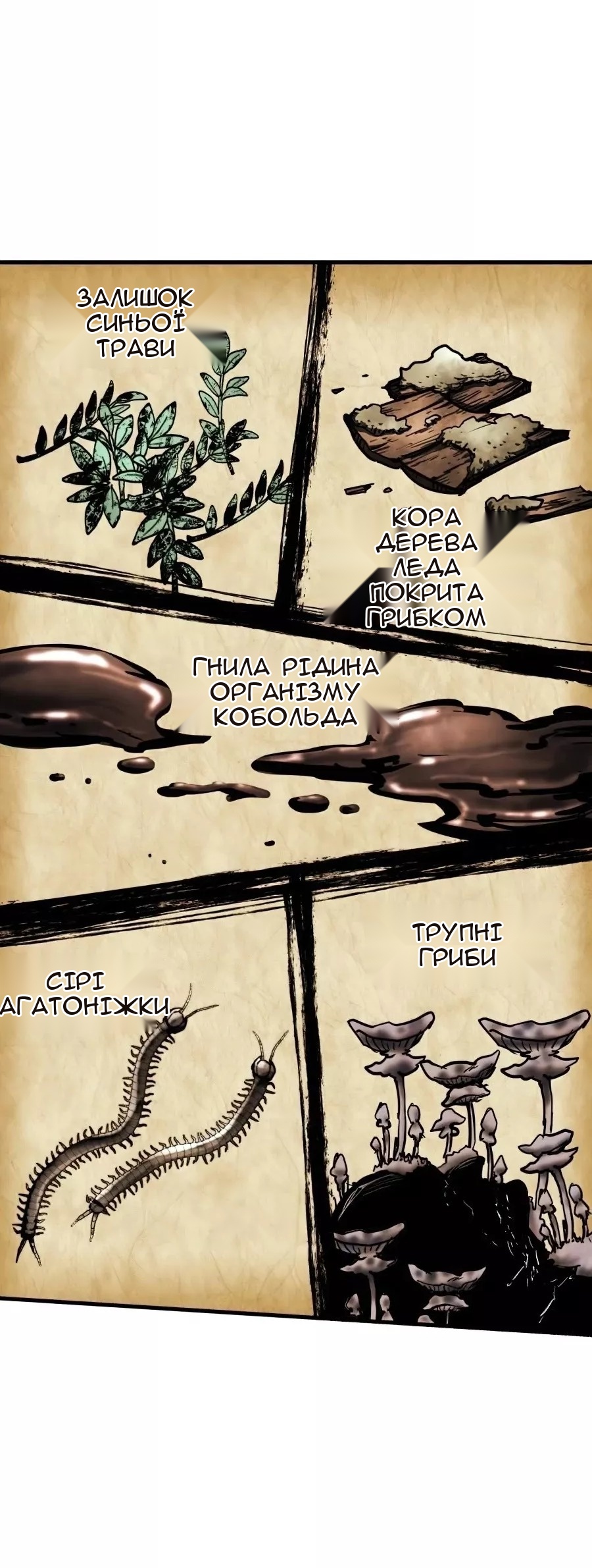 Сторінка 3