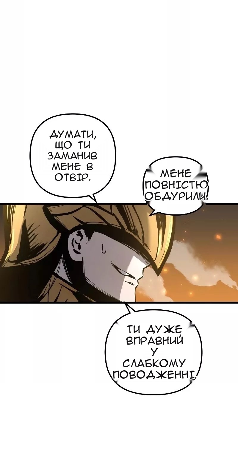 Сторінка 29