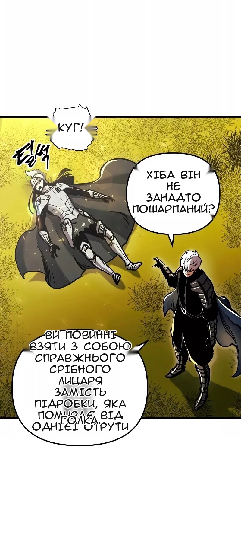 Сторінка 27