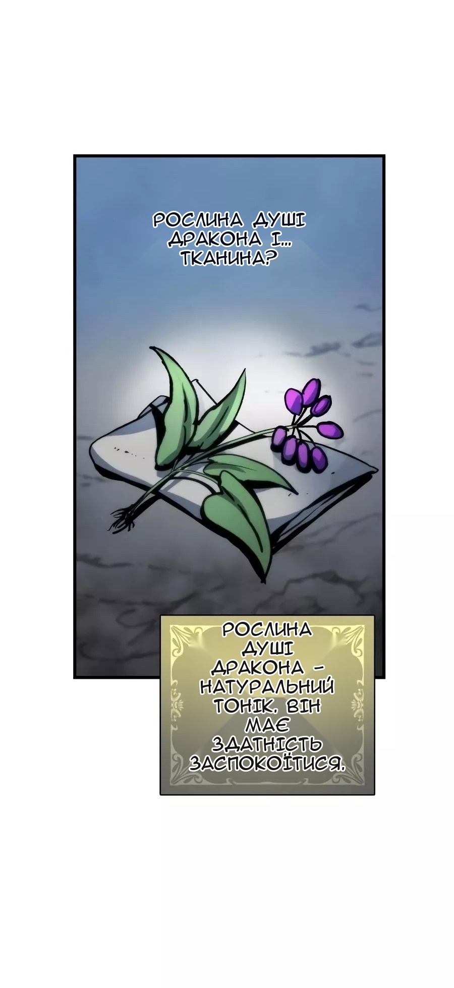 Сторінка 5