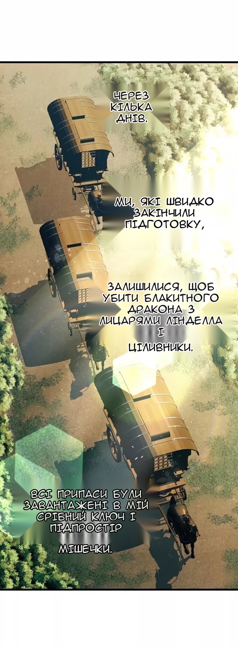 Сторінка 29