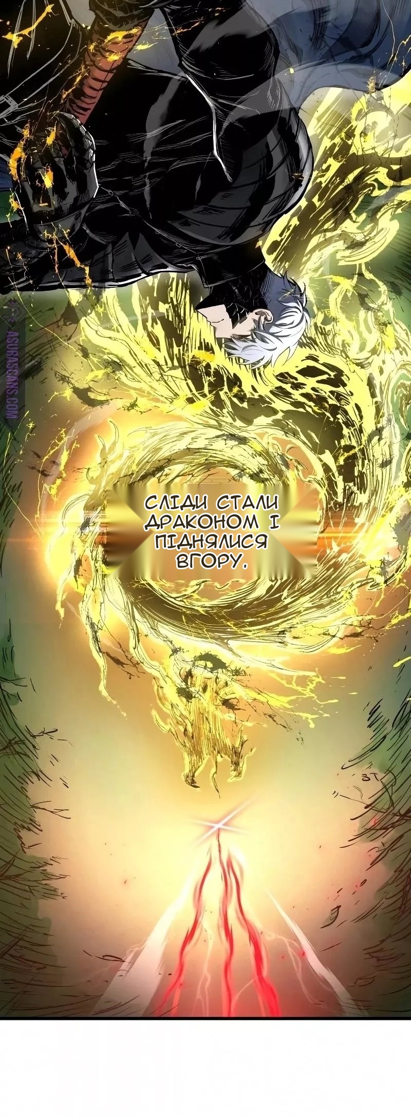 Сторінка 31