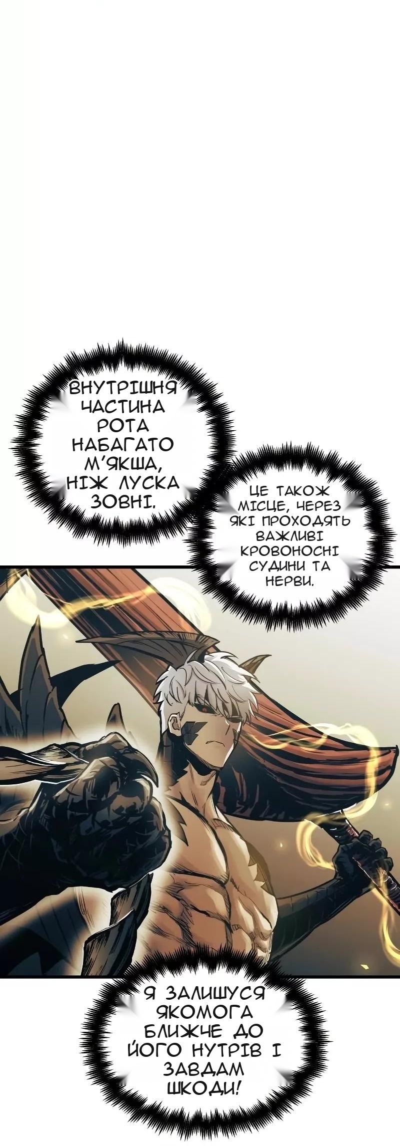 Сторінка 11
