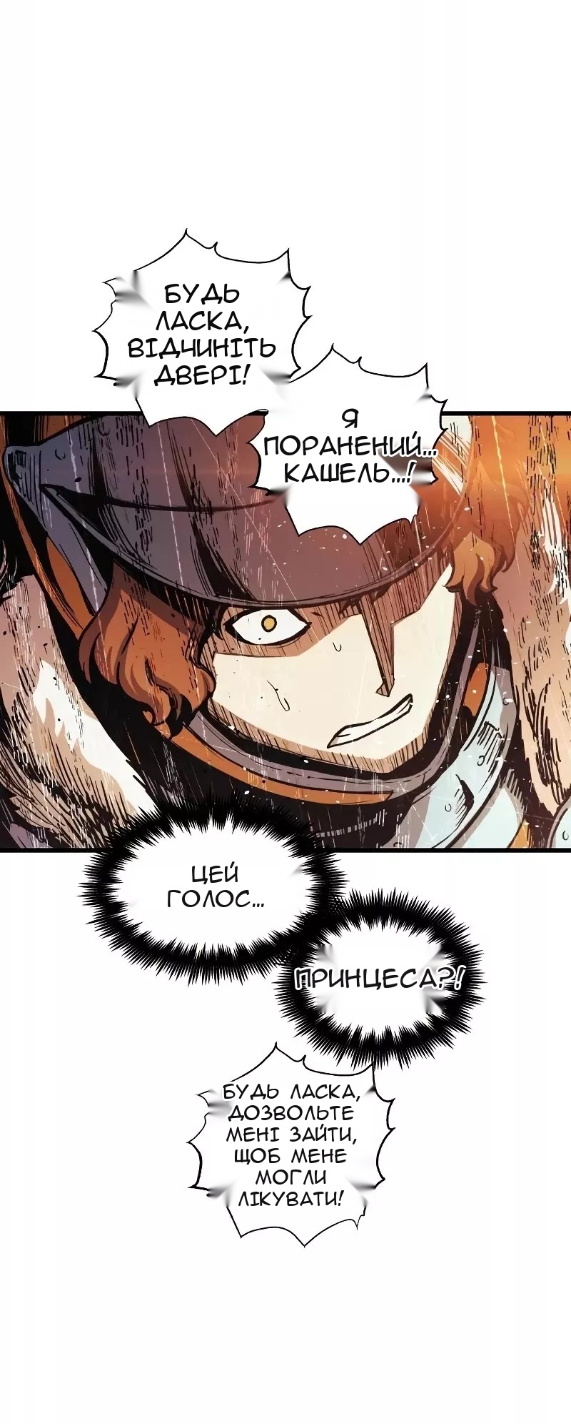 Сторінка 71