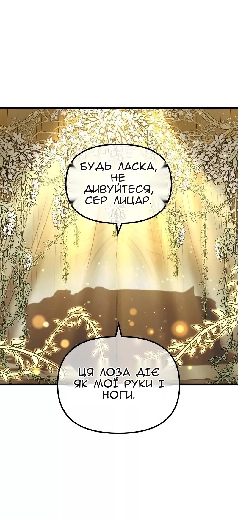 Сторінка 24