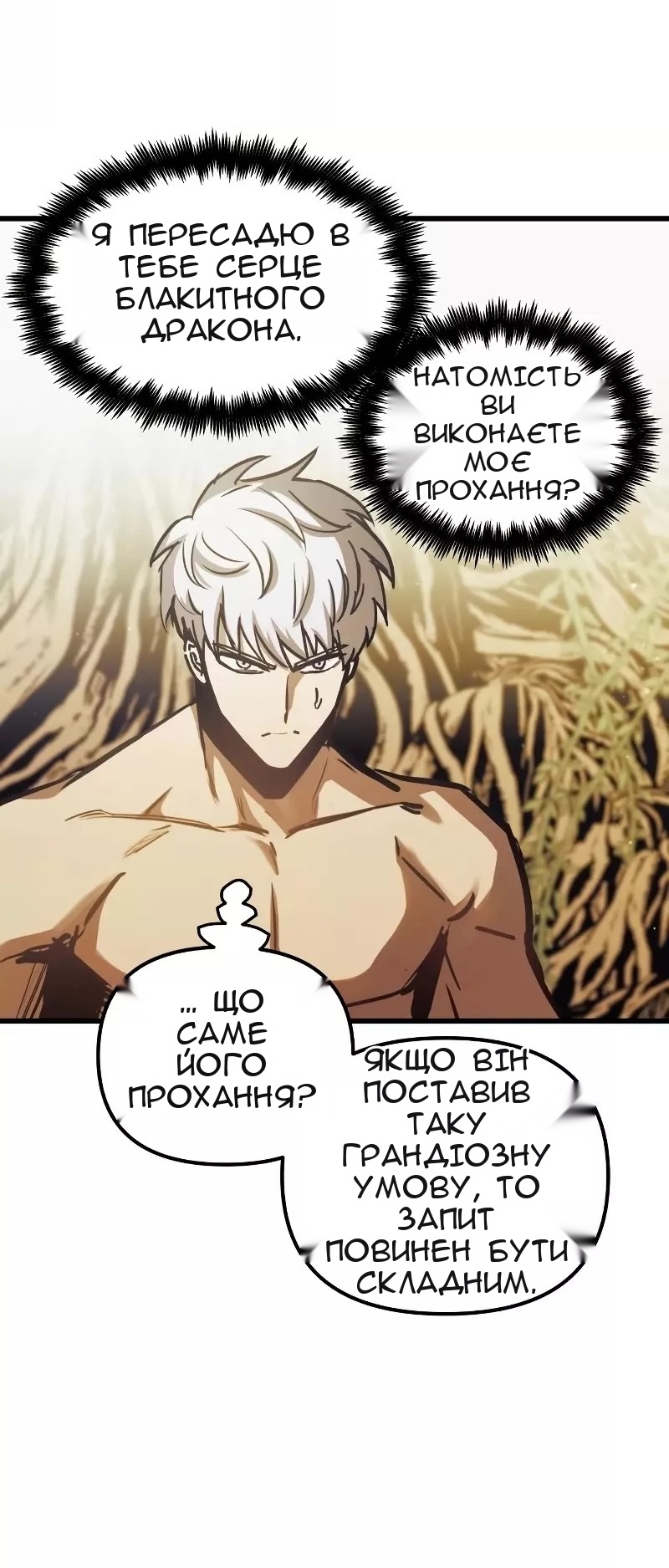 Сторінка 17