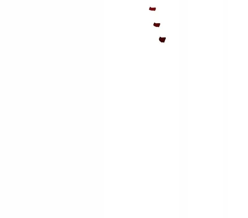 Сторінка 76