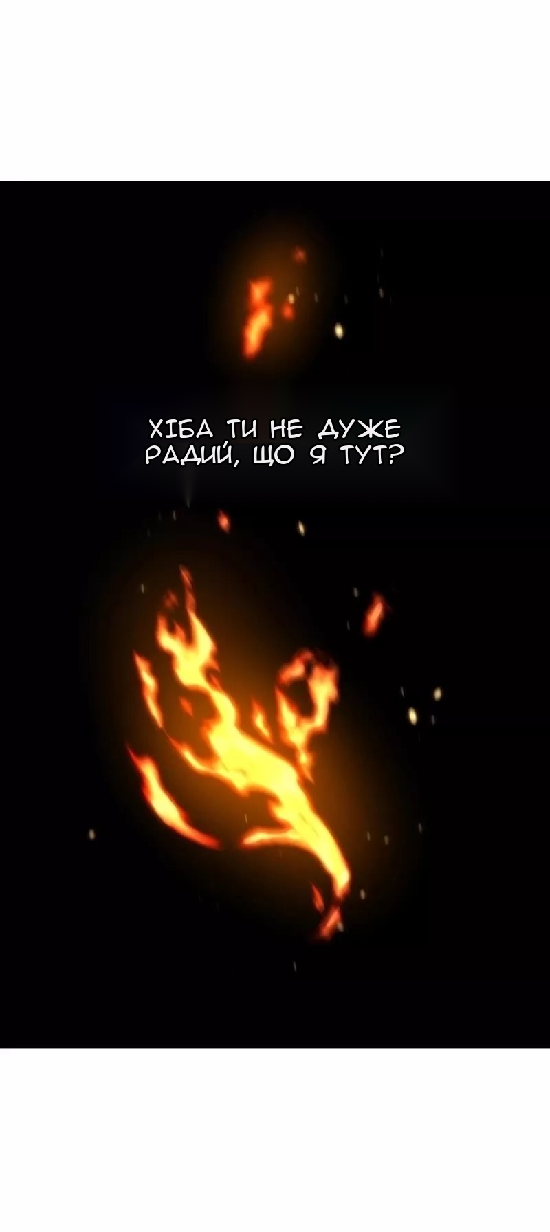 Сторінка 29